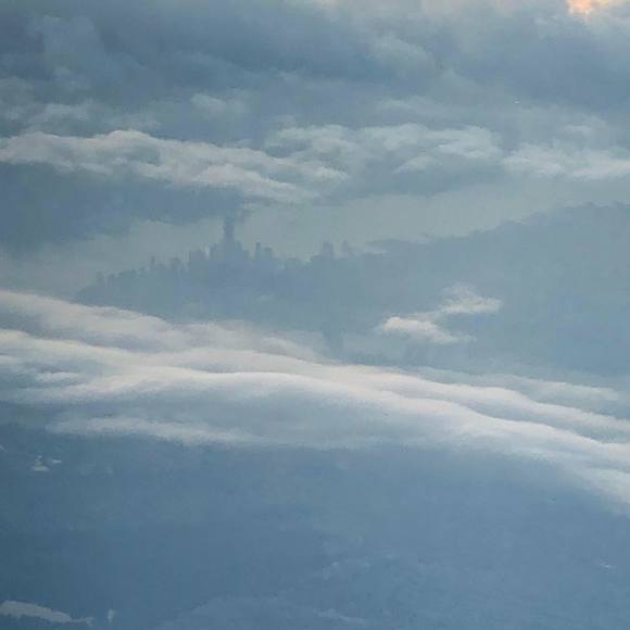 Meet your Posher, Tommy - Picture 1 of 1